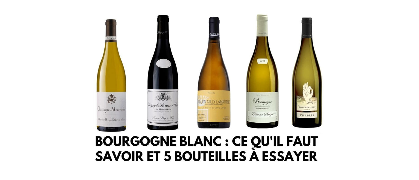 Bourgogne blanc : ce qu'il faut savoir et 5 bouteilles à essayer