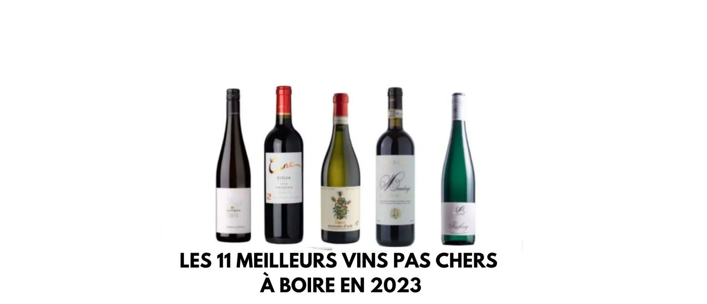 Les 11 meilleurs vins pas chers à boire en 2023