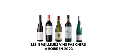 Les 11 meilleurs vins pas chers à boire en 2024