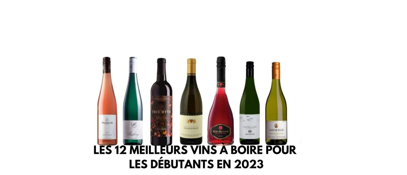 Les 12 meilleurs vins à boire pour les débutants en 2024