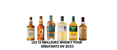 Les 12 meilleurs whisky pour débutants en 2024