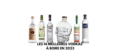 Les 14 meilleures vodkas à boire en 2024