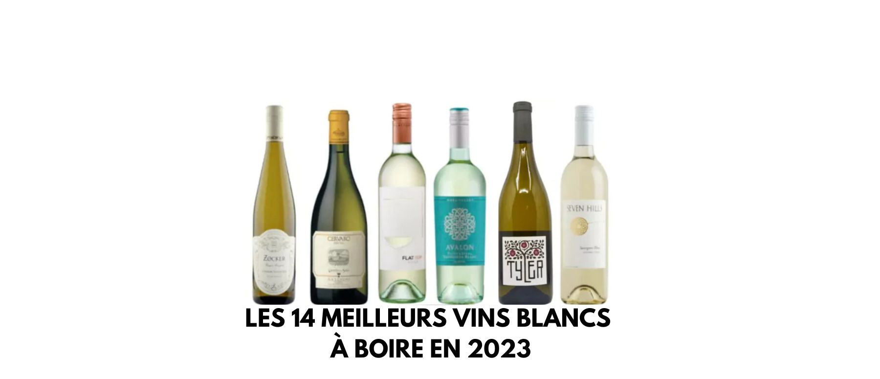 Les 14 Meilleurs Vins Blancs à Boire en 2024 | Univers Des Verres