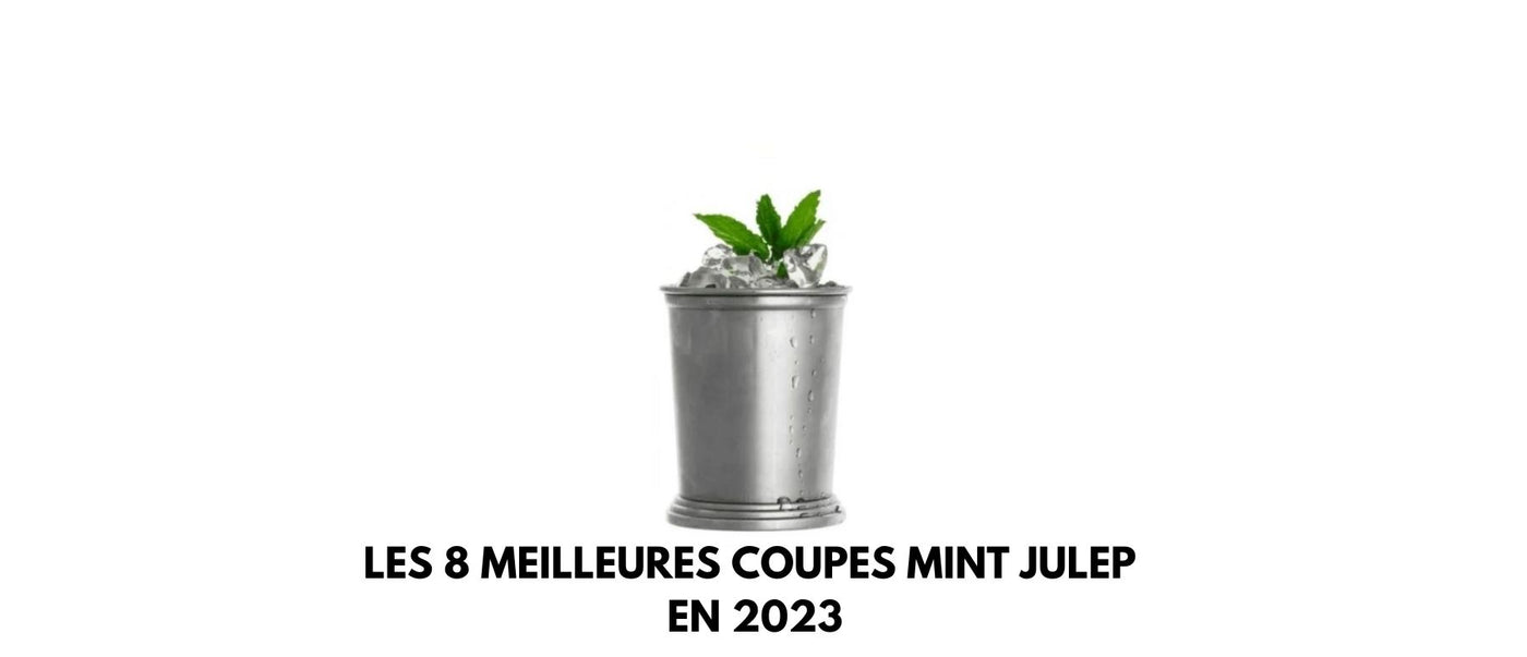 Les 8 meilleures coupes Mint Julep en 2023