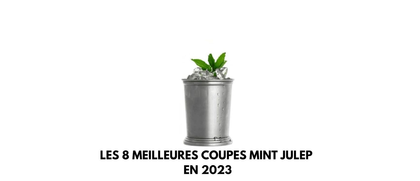 Les 8 meilleures coupes Mint Julep en 2024