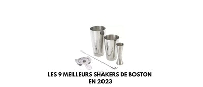 Les 9 meilleurs shakers de boston en 2024