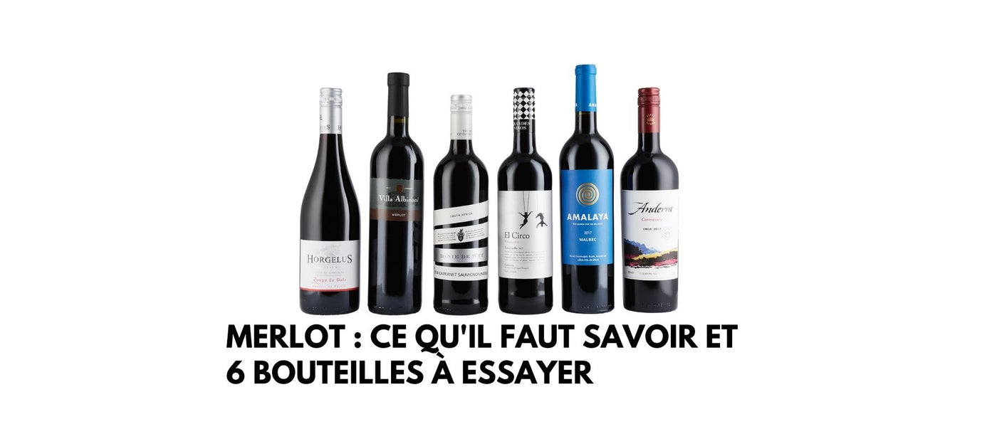 Merlot : ce qu'il faut savoir et 6 bouteilles à essayer