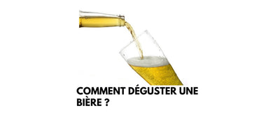 Comment déguster une bière ?