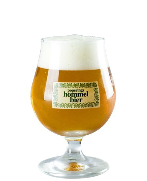 Verre à bière hommelbier 250ml