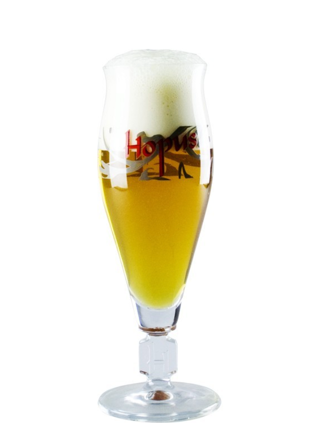 Verre à bière hopus 250ml