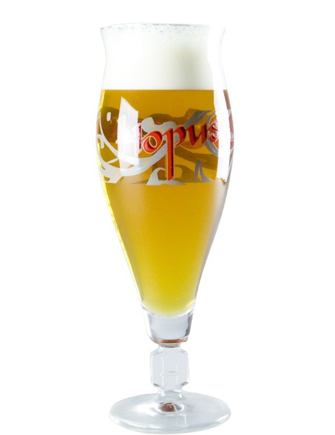 Verre à bière hopus 330ml